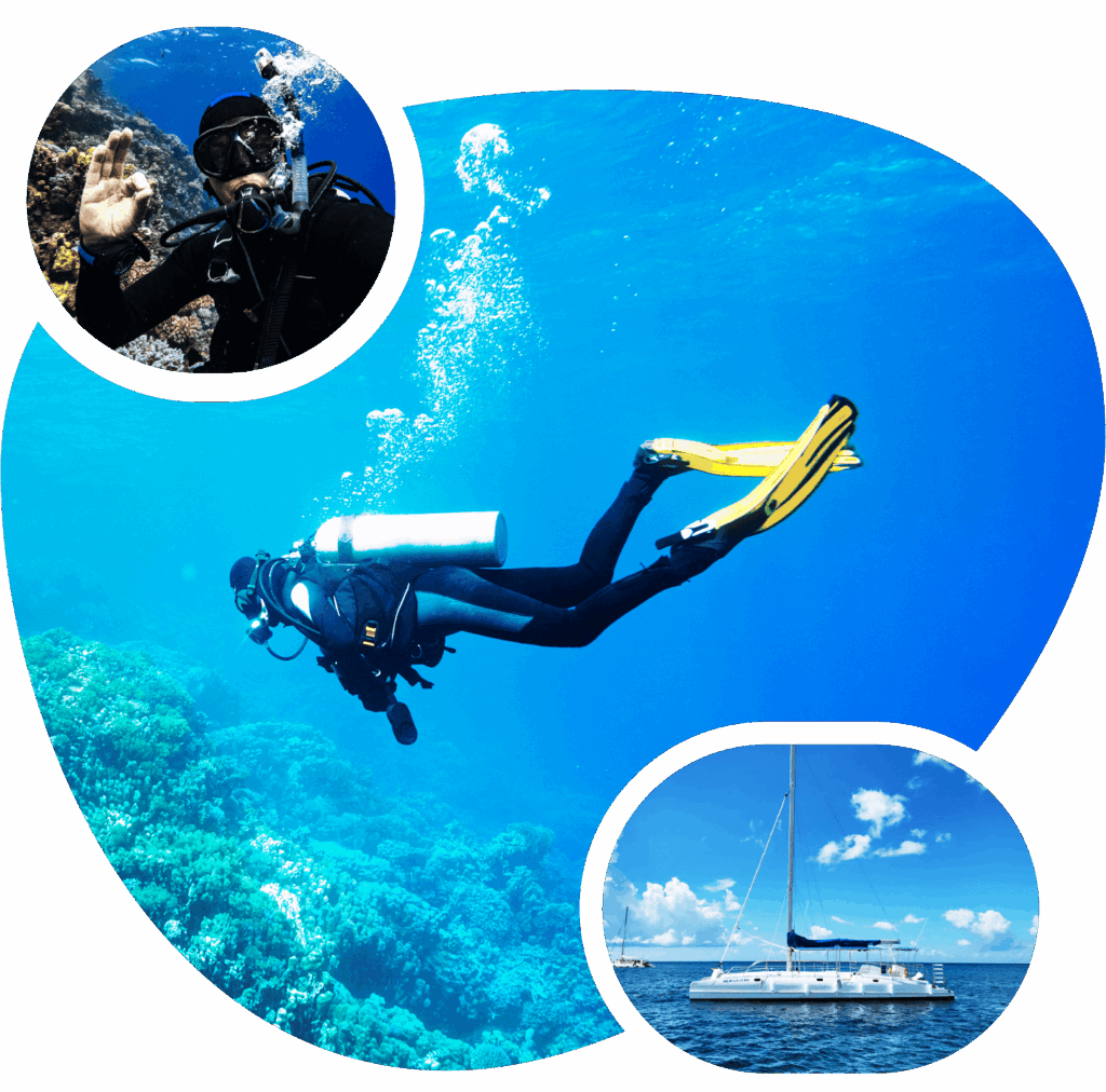 Diving